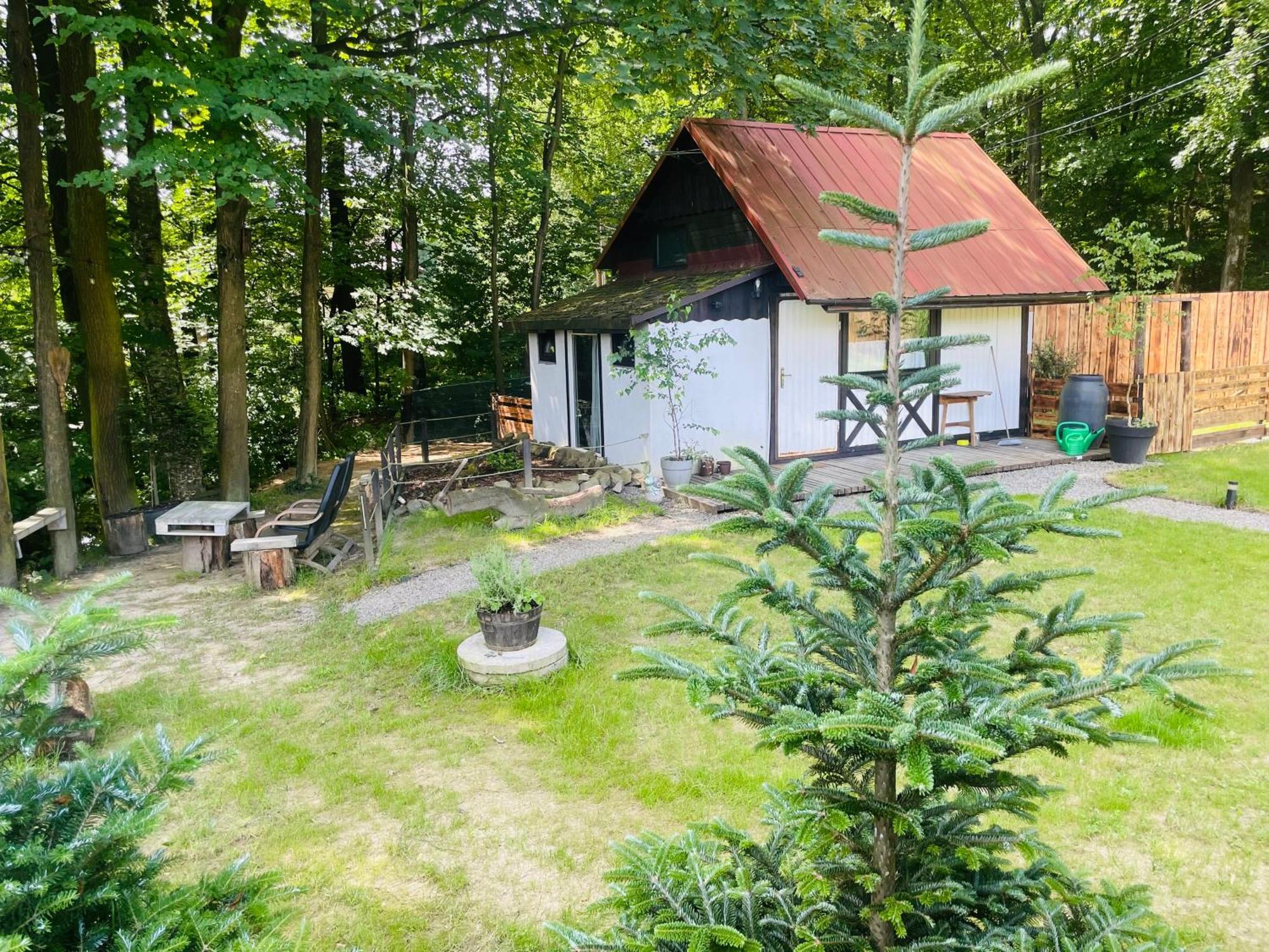 Romantyczna Chatka Pisarzowice  Exterior foto