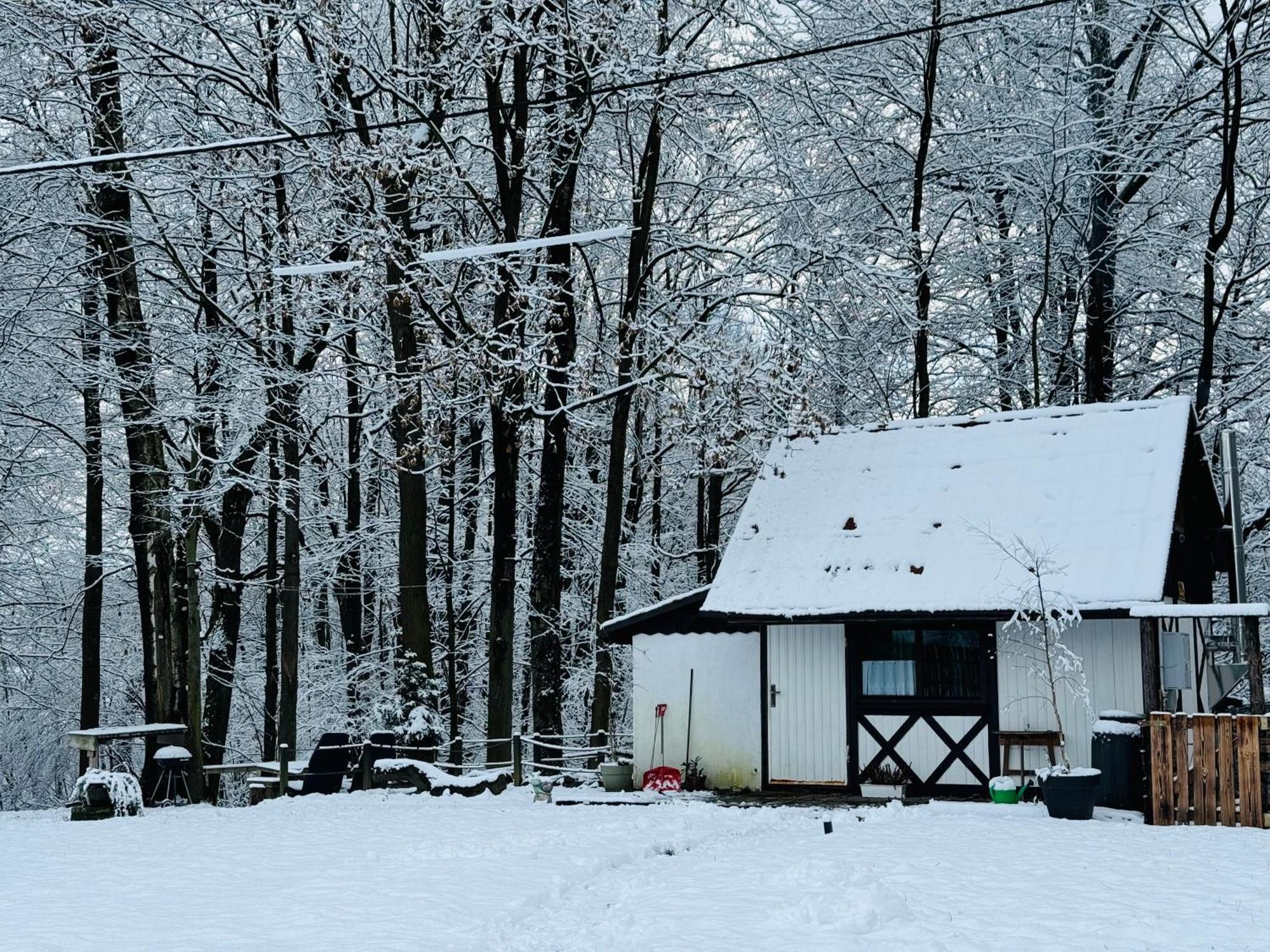 Romantyczna Chatka Pisarzowice  Exterior foto